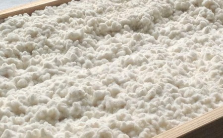 【無添加・無着色】小島麹店の生甘酒150ｇ×5個セットRT1408