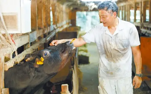 武藤牧場直売店山嘉【黒毛和牛】山嘉牛 すきやき 500g 国産 牛肉 赤身 ロース モモ バラ ミックス 上質 贈答 ギフト おすすめ グルメ