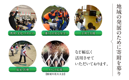 《返礼品なし》 ～ 岐阜県本巣市への寄附 応援寄附金 淡墨桜 (返礼品はありません) [0960]  mt309