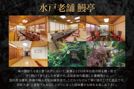 【鰻亭】水戸老舗 鰻重コースお食事券（1名様）（JO-1）