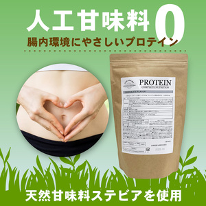 YOKOHAMA STRENGTH & CONDITIONING PROTEIN COMPLETE NUTRITION　2袋 ホエイプロテインパウダー チョコレート風味 ドリンク メンテナンス ホエイ 健康 体 維持