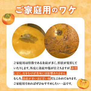 【訳あり品】【10月発送】池尻農園 太秋柿 5 ～ 9玉 約 1.8kg ご家庭用_訳あり品 10月より順次発送 池尻農園 太秋柿 5 ～ 9玉 約 1.8kg ご家庭用 柿 10月 最盛期 完全甘柿 早生品種 大玉 甘み 強い シャキシャキ 食感 条紋 美味しさ 際立つ 種 少ない 食べやすい 人気 国産 九州産 フルーツ 果物 お取り寄せ 福岡県 久留米市 〔Fk015〕