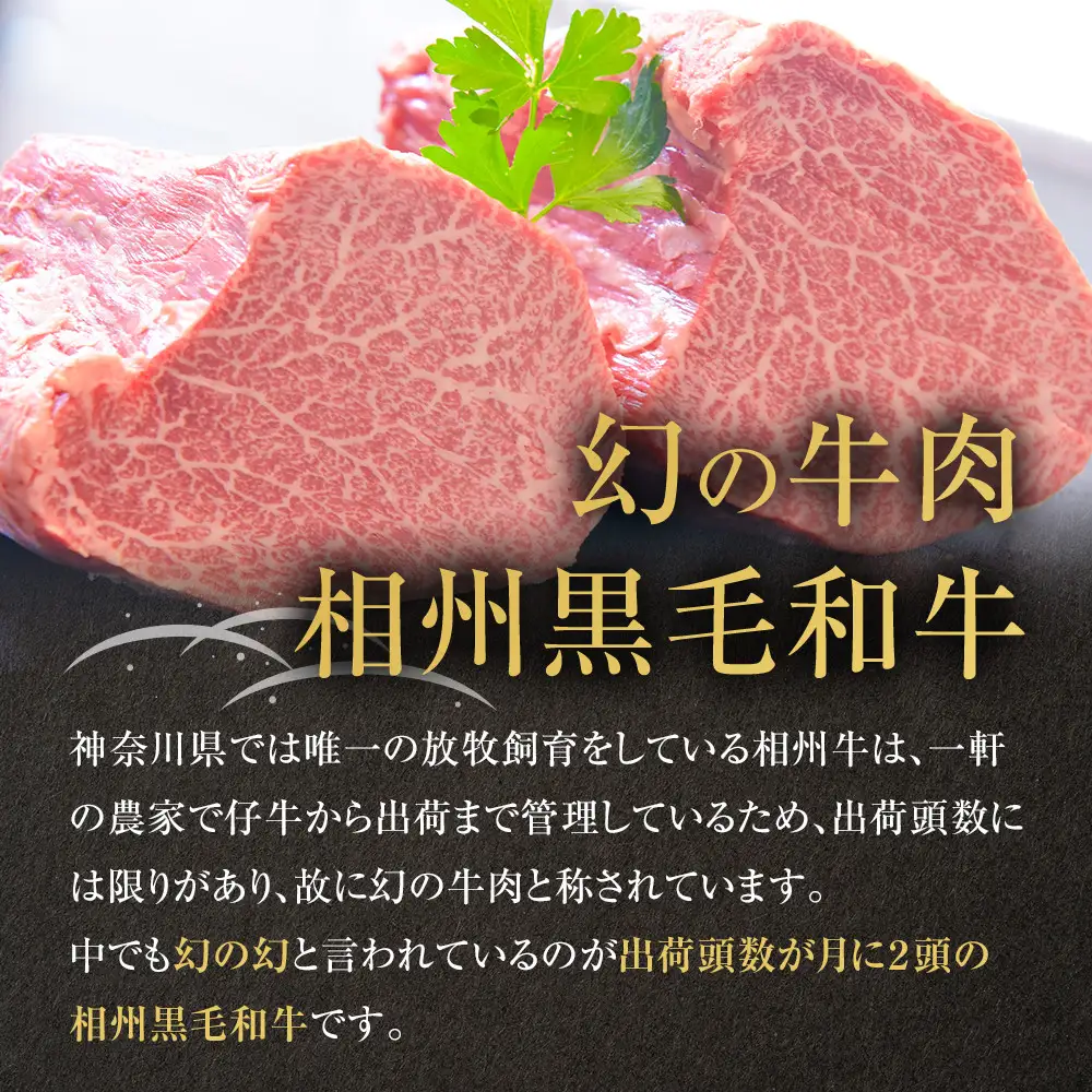 【牛肉 定期便 12回】 幻の相州黒毛和牛肩肉 1.2kg×12回 計14.4kg【相州黒毛和牛 相州牛 幻の牛肉 極上の旨味と風味 キメ細かな上質の脂 様々な料理に ブランド牛 ブランド牛肉 神奈川県 小田原市 】