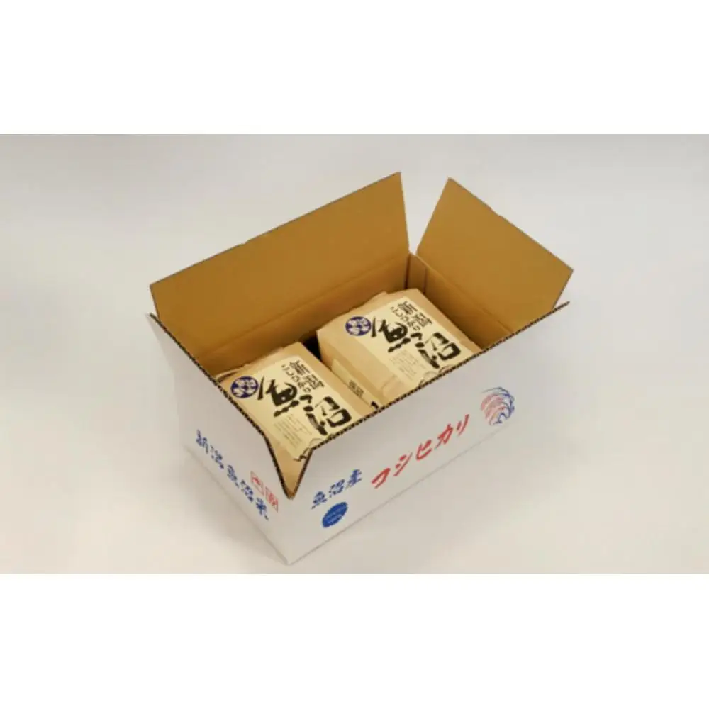 令和７年産「五つ星お米マイスター」の南魚沼産コシヒカリ　精米４kg（２kg×２個）【銘柄米 ブランド米 精米 こしひかり コシヒカリ 魚沼産 新潟米 産地直送 お米 米 こめ コメ ご飯 御飯 ごはん】