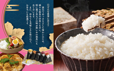 【2025年産】きぬむすめ 5kg（5kg×1袋）【かみはら山水農園】【28-12】