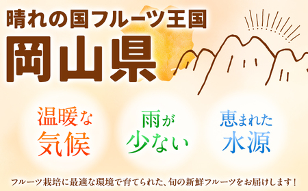 人気くだもの定期便《7月上旬-10月末頃出荷》フルーツ定期便