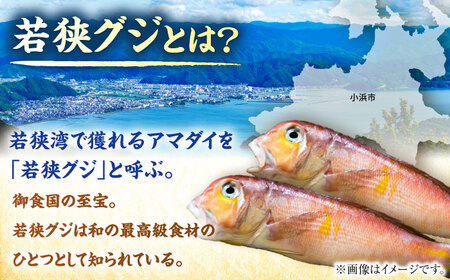若狭グジの一塩仕立て 500g×2尾 小浜市 / まるほ商店 【配送不可地域：北海道・沖縄・離島】  [BFCS002] 