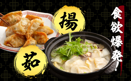 だぶだぶの肉汁をすすりたくなる餃子 20個（10個入×2パック） BE012