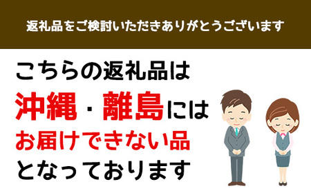 京都三和・丹波ぶどうほしぶどう 藤稔 ドライ(100g×3パック) ふるさと納税 福知山市 ドライフルーツ ほしぶどう 干しブドウ レーズン ドライレーズン 三和ぶどう ふじみのり 藤稔 100g 3パック 手作り 三和町 特産 丹波 【fc-CO004】【株式会社横田石材(丹波ほっこり農園)】