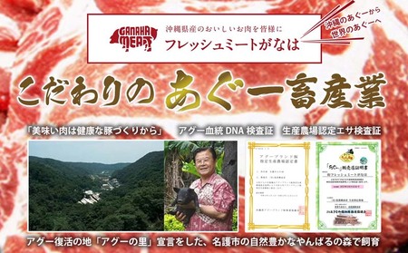 ハンバーグ【訳あり】あぐー豚肉ハンバーグ 750g