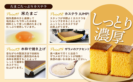 ココテラスの焼き菓子盛り合わせセット カステラ マドレーヌ クッキー たまごたっぷり カステラ 焼き菓子 和菓子 洋菓子 こだわりスイーツ 贈答用 贈り物 スイーツ ギフト 個包装 詰合せ お土産 手土産 デイリーファーム ココテラス 卵 おやつ お菓子 お取り寄せ 愛知県 常滑市