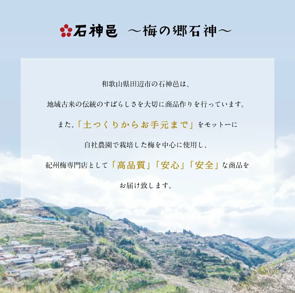 有機白梅酢 500ml / 紀州南高梅 南高梅 梅干し 梅干 梅 うめ 酢 調味料 和歌山 田辺市 【isg040-1】