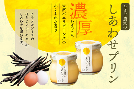 プリンとお菓子のデザートセット プリン カステラ マドレーヌ のし対応 洋菓子 焼き菓子 和菓子 お菓子 おやつ 詰合せ 贈答用 デイリーファーム プリン デザート スイーツ ココテラス なめらかプリン ギフト プレゼント 手土産 グルメ お取り寄せ 愛知県 常滑市