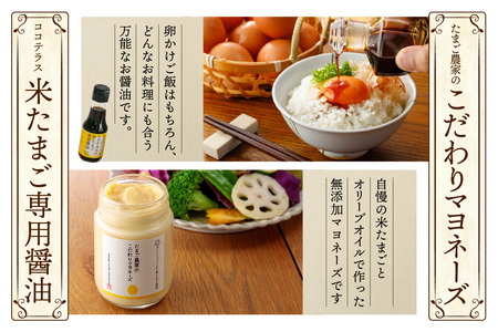 ココテラスの贅沢しあわせセット | カステラ マドレーヌ クッキー プリン マヨネーズ 醤油 たまご専用醤油 調味料 料理 赤卵 白卵 タマゴ 卵 鶏卵 焼き菓子 洋菓子 グルメ スイーツ お取り寄せ 詰め合わせ ギフト 贈り物 プレゼント 愛知県 常滑市