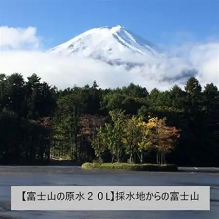 【毎月定期便】富士山の原水 バナジウム天然水20L×1箱 全2回【4053522】
