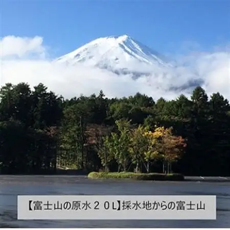 【毎月定期便】バナジウム天然水　富士山の原水20L 全6回【4053526】