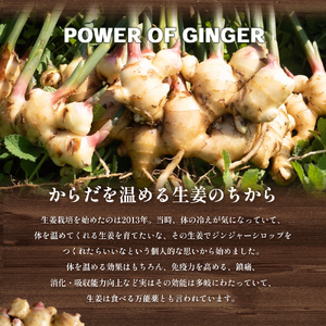 【 小豆島 】小豆島プレーンジンジャーシロップ3本セット 飲料 ドリンク シロップ ジンジャー 生姜 スパイシー ギフト 贈り物 香川 香川県 土庄 土庄町