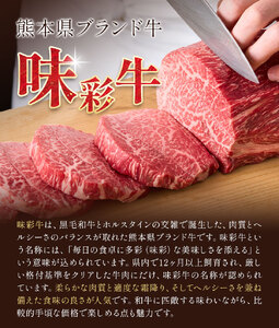味彩牛 ヒレ ステーキ 約120g×2枚 計240g 菊池地域農業協同組合(JA菊池まんまキッチン)《90日以内に出荷予定(土日祝除く)》熊本県 菊池市 牛肉 お肉 熊本県産 九州産 国産 冷凍 送料無料