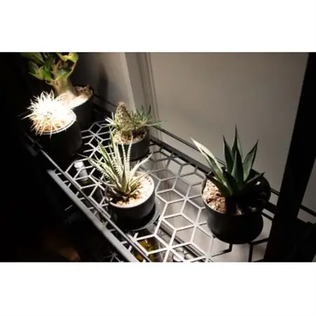 Metal Grow プラントラック-780-　植物棚【1513478】