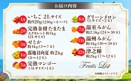 【数量・期間限定】特選！旬のフルーツ9ヶ月定期便vol.1 旬 フルーツ 果物 定期便 くだもの いちご マンゴー 金柑