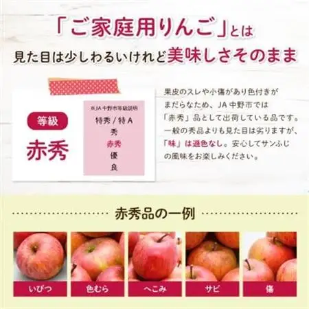 【先行受付】JA中野市 「サンふじ」ご家庭用 訳あり「小玉」 5kg以上(18～23玉入)【1526204】