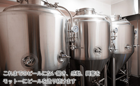 豊島区醸造のできたて人気地ビール　NAMACHAんビールセット　ビール アルコール 地ビール 燻製ビール 自家燻製麦芽 スモークビール フルーツビール セット 豊島区 東京都 お酒 