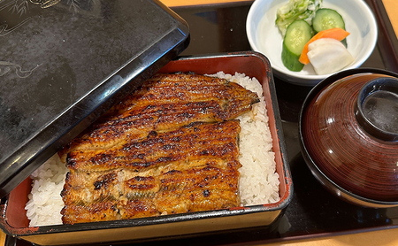 食事券 八ツ目や にしむら 巣鴨店 10,000円分 クーポン チケット ギフト券 券 お食事券 金券 うなぎ うな重