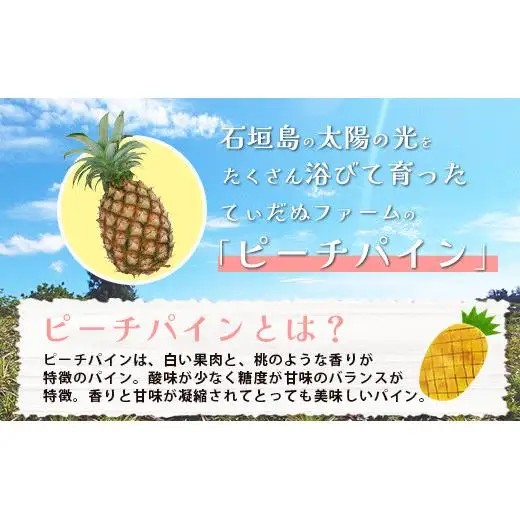 石垣島産 ピーチパイン 2玉 約1.8kg