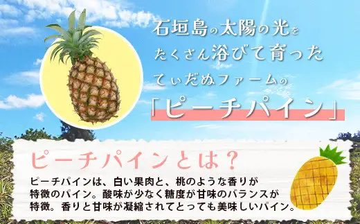 【先行予約】石垣島産 ピーチパイン 3玉 約2.7・