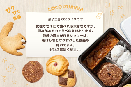 コドリア オトパ クッキー 缶バッジ サン　4点 こんにちは❄️☃️ コバトストアOpenしております‼︎ 朝来たら