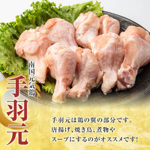 鹿児島県産！南国元気鶏 手羽元+砂肝スライスセット(合計2kg) 国産 鹿児島県産 鶏肉 肉 お肉 手羽元 砂肝スライス 南国元気鶏 小分け 小パック おかず おつまみ Iセット【さるがく水産】akn028-04