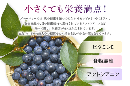《数量限定・期間限定》 【アイの玉】毎日！朝摘み生ブルーベリー(2L) 数量限定 期間限定 ブルーベリー フルーツ 果物 くだもの 冷蔵 大粒 新鮮 生果 国産 73-A 【2026年6月15日より順次発送予定・7月31日に受付終了】