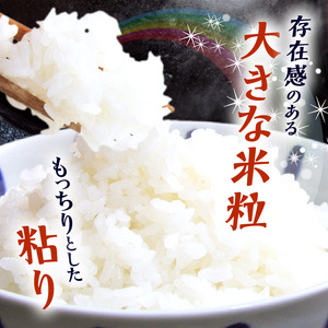 BB6224_和歌山県産 にじのきらめき 10kg（2025年産)