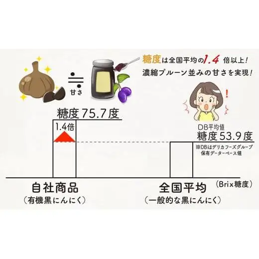 【 にんにく 】 にんにくペースト500g