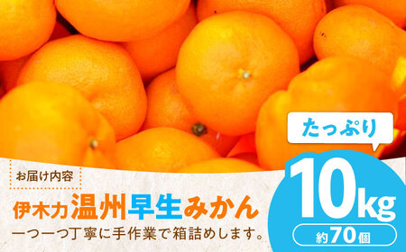 ※【2026年11月より順次発送／先行予約】伊木力温州早生みかん10kg(ご家庭用、箱入り) / みかん 温州みかん 柑橘 蜜柑 ミカン 果物 / 諫早市 / 末永果樹園 [AHBD002]