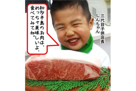 知多牛 高級4等級 【サーロインステーキ】250g4枚 ※北海道・沖縄・離島への配送不可