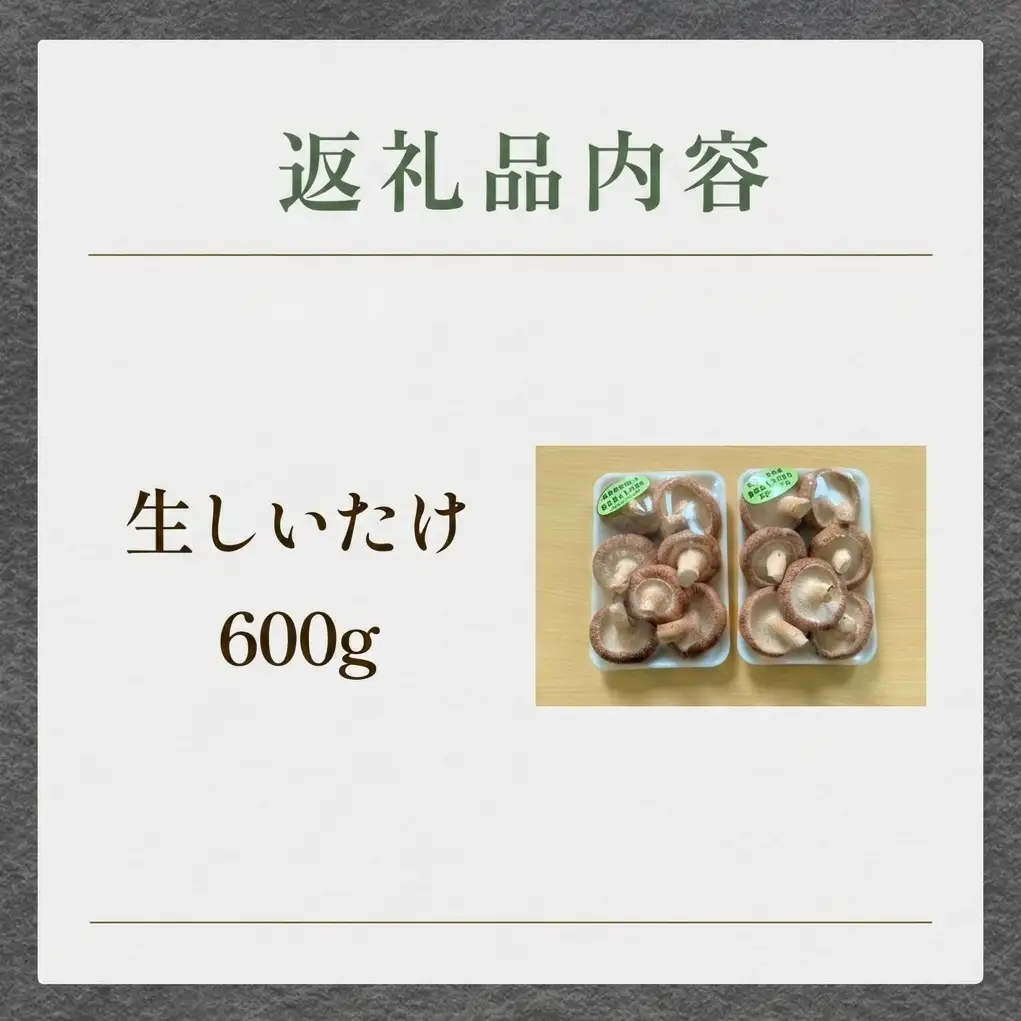 生しいたけ 約600g
