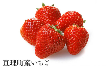 【亘理町いちご産】夢見る乙女2本セット