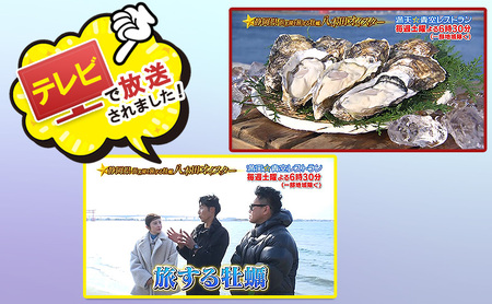 【テレビで紹介されました！】浜名湖産かき大粒むき身500g（加熱用） 牡蠣 八木田オイスター 海鮮 魚介 国産 浜名湖産 生牡蠣 焼き牡蠣 蒸し牡蠣 冷蔵 産地直送