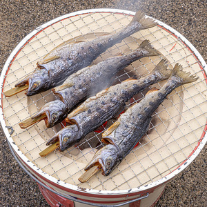 安芸高田 滝ヶ谷 やまめ串（8尾入り） 魚 川魚 おかず つまみ