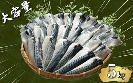 【 スピード配送 】 適塩さば 昆布エキス入り 約5kg さば