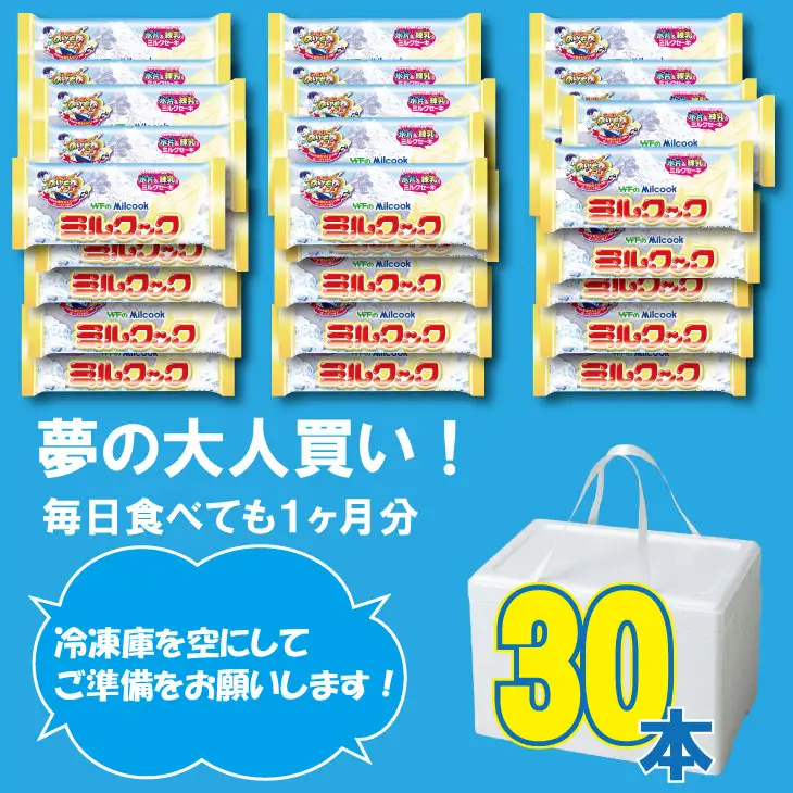 ミルクック レギュラーサイズ 30本 アイス デザート 冷凍 スイーツ アイスクリーム B170-017