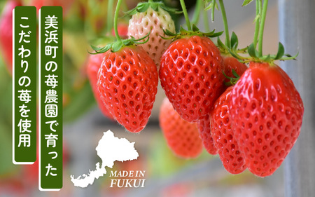 【福井県美浜町産】 苺を使った 苺ジャム × 6個セット 着色料・保存料不使用！ [m03-a048]