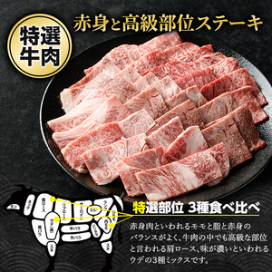 鹿児島県産黒毛和牛 焼肉セット 食べ比べ 3種 (計600g・各200g) モモ 肩ロース ウデ【ナンチク】nanchiku-7258