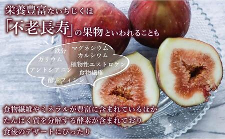 【福岡限定ブランド】いちじく とよみつひめ 約2.4kg （ 300g×8パック ）| いちじく 福岡県産 果物 フルーツ とよみつひめ 福岡県 大川市