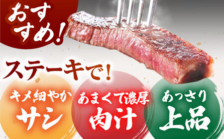 佐賀牛サーロインブロック5kg HCS109 黒毛和牛 国産 ブロック肉