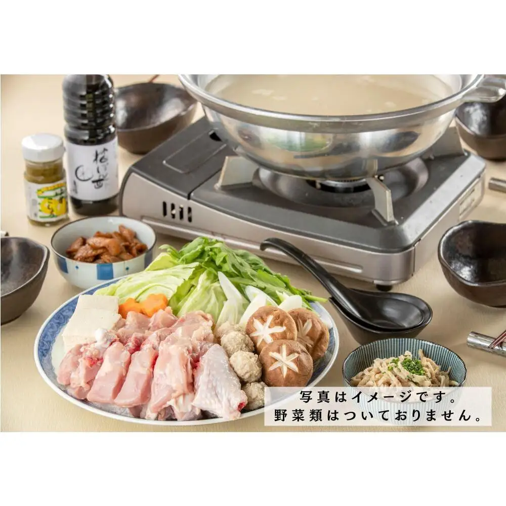 【はかた天神とり祥】九州産若どり水炊きセット 2人前 | セット 食品 加工食品 人気 おすすめ 送料無料