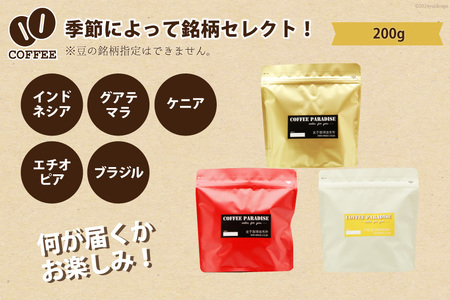 AI088自家焙煎 スペシャルティ珈琲豆 200g × 1袋 [長崎県 島原市]