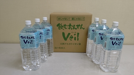 【定期便6ヶ月】飲むおんせんベール2L×6本入+500ml×12本入セット【 温泉水 温泉純度100％ 保存水 防災 神奈川県 山北町 】