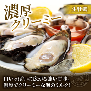 【牡蠣】 生食 殻付き12個 冷蔵  牡蠣
